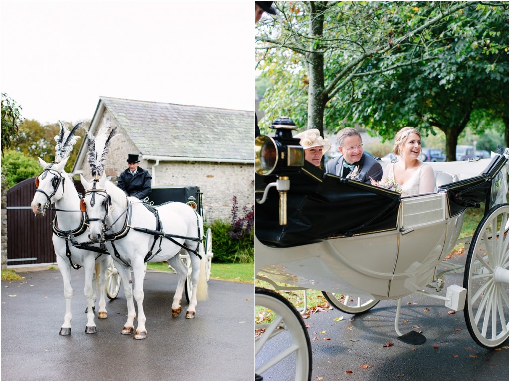 Horse-and-carriage-wedding