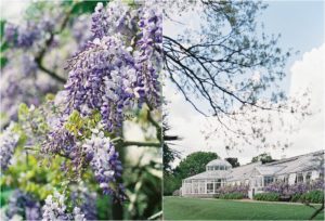 The orangery at a Chiswick House wedding with wisteria in bloom