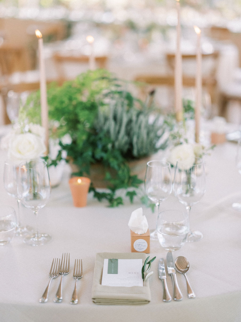 Garden marquee wedding green white and blush. Ferns, olive branches and terracotta 