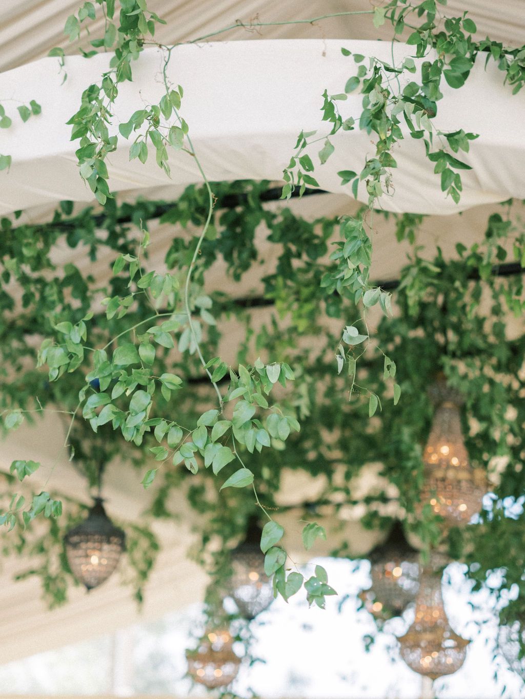 hanging foliage decorating wedding marquee